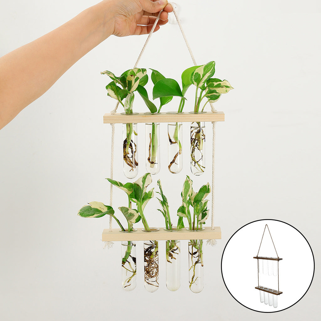 Wandbehängendes Terrarium-Blumenglas-Pflanzgefäß für den Pflanzen-Garten