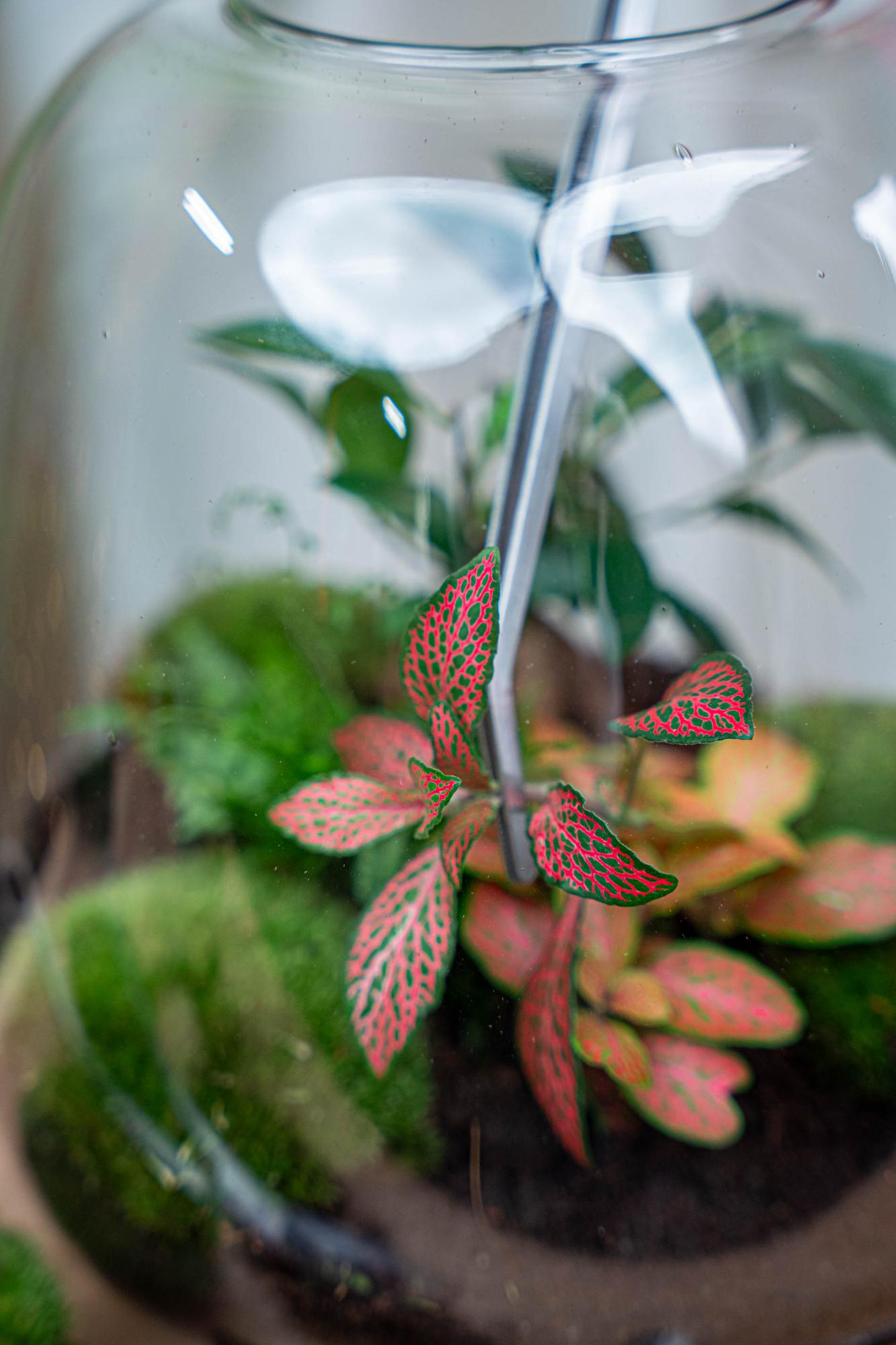 Terrarienpinzette Metall 26 cm lang