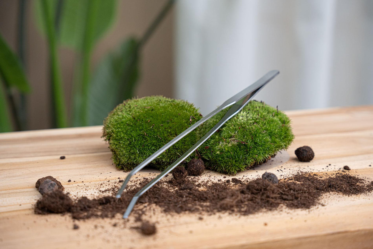 Terrarienpinzette Metall 26 cm lang