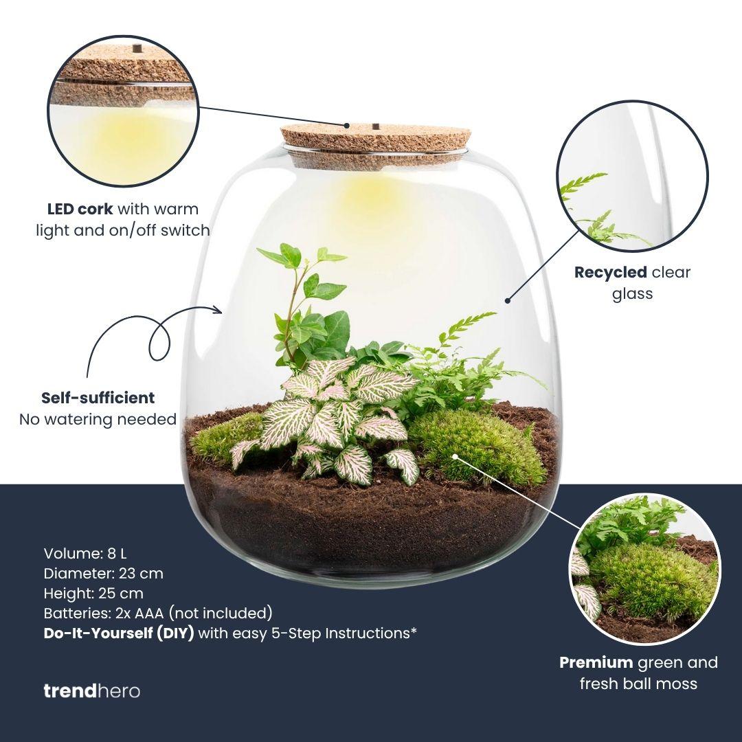 Pflanzenterrarium – Emma – DIY-Set – ↑ 25 cm – Ø 23 cm – Hedera Pink