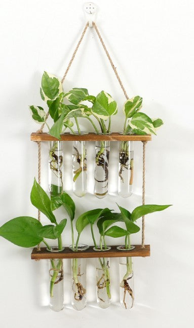 Wandbehängendes Terrarium-Blumenglas-Pflanzgefäß für den Pflanzen-Garten