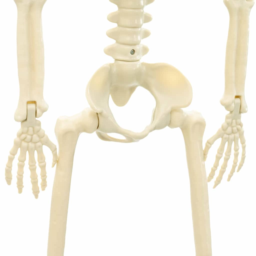 Halloween Skelett 2 Stk. Weiß 85 Cm Polypropylen