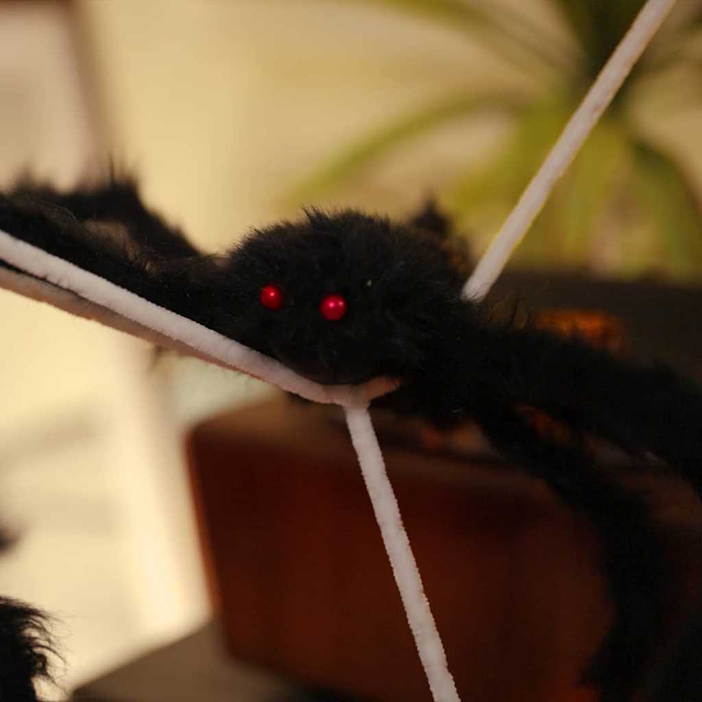 Halloween-Spinnendekoration Mit Netzen 2 Stk. Schwarz Und Weiß