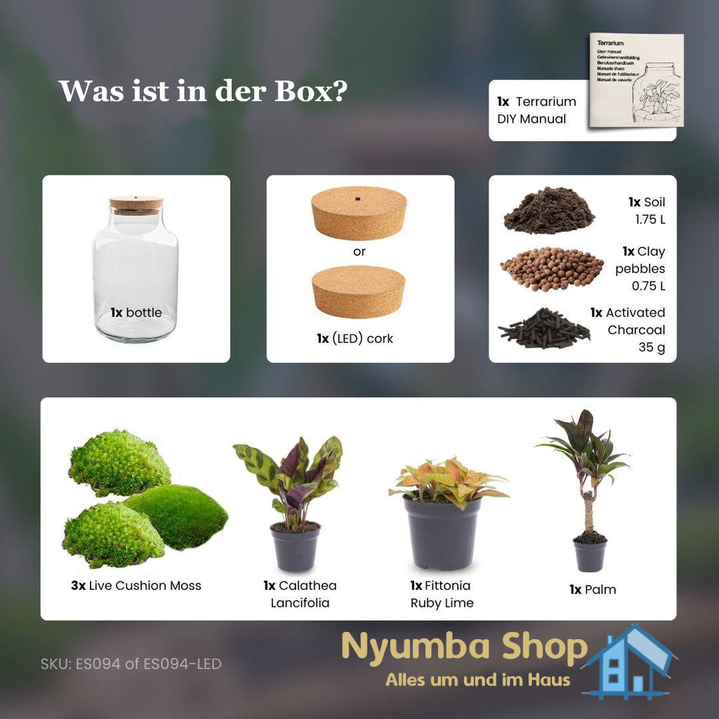 DIY-Pflanzenterrarium mit Beleuchtung – Milky Palm – Ø 21 cm, Höhe 30 cm