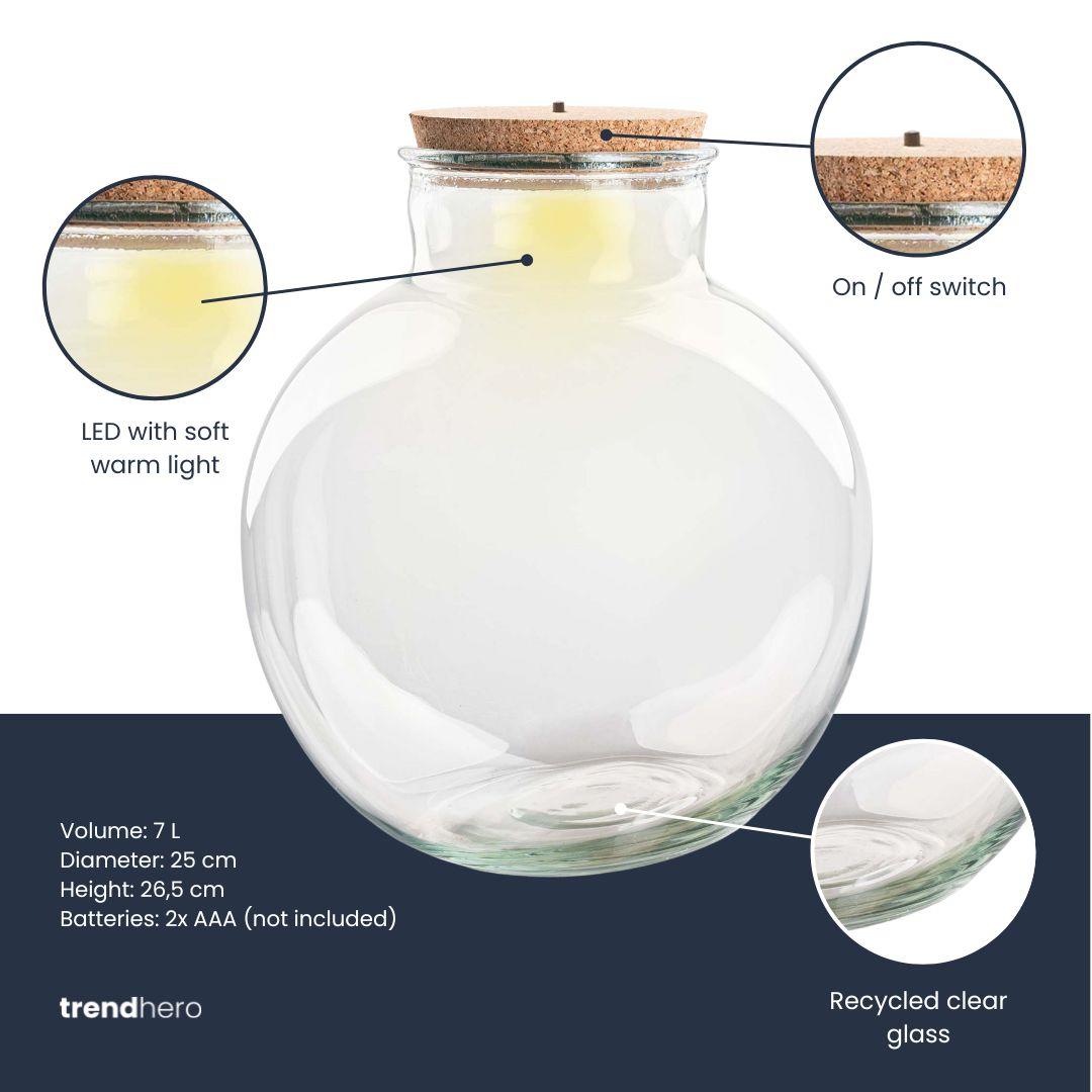 Terrarienflasche (mit) Beleuchtung – Teddy – Ø 25 cm, Höhe 26,5 cm – Ohne LED-Korken