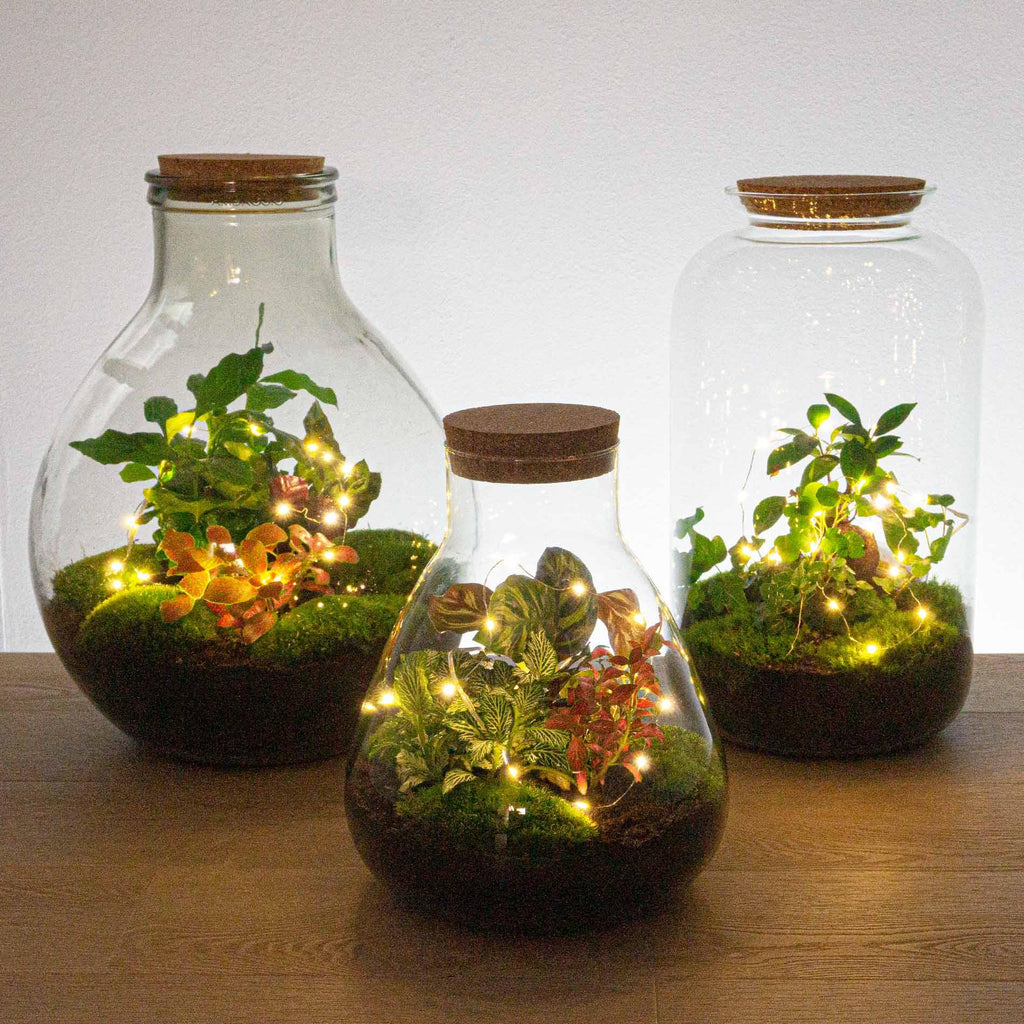 Batteriebetriebene Lichterkette – 1 Meter – Warmweiß – 20 LED-Lämpchen – Weihnachten