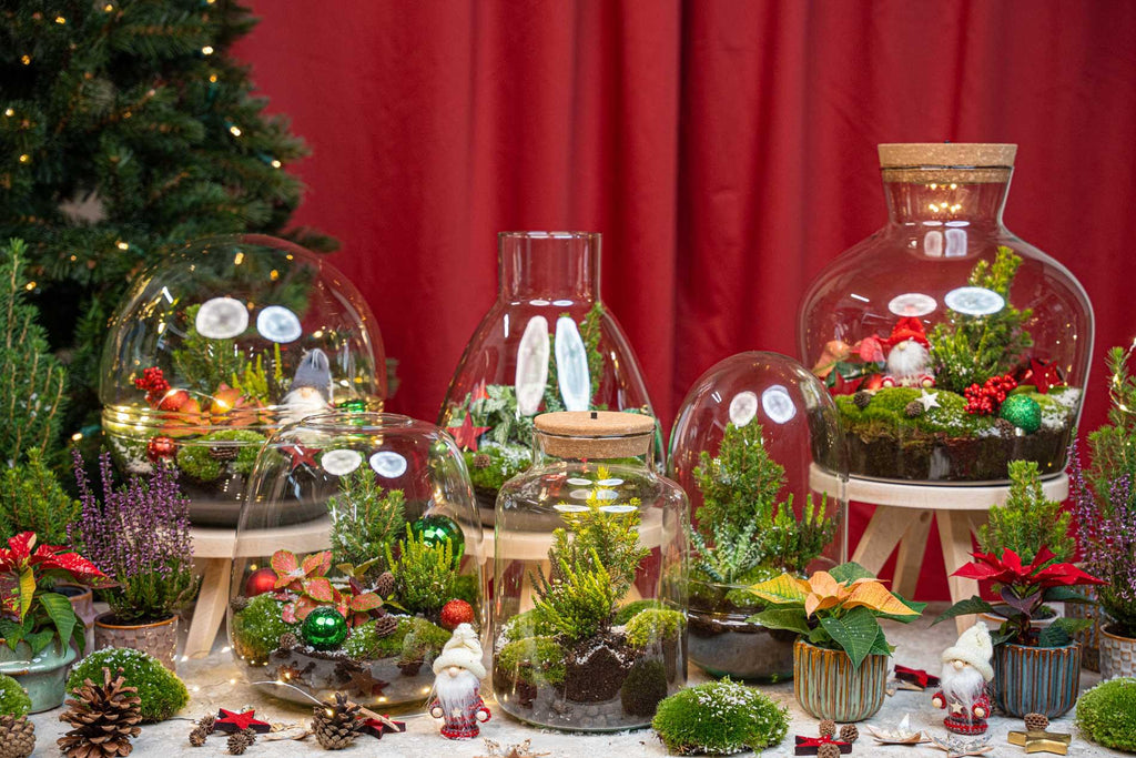 Frosty Christmas Terrarium – Pflanzen-Terrarium  DIY-Set Christmas –  –  Ø 17 cm ↑ 25 cm