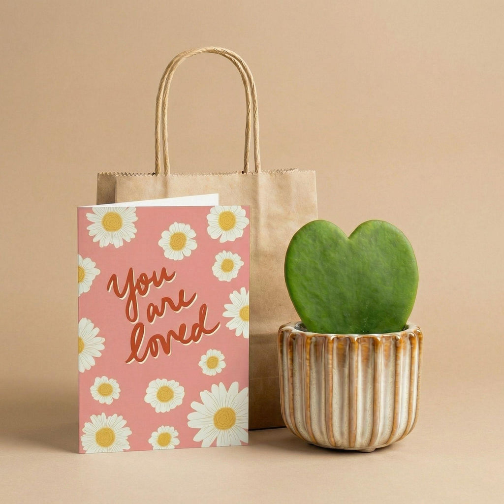 Geschenkset – Love Set – Herzpflanze, Topf, Grußkarte & Geschenktüte