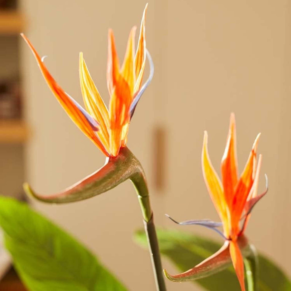 Strelitzia mit Blüten – 120 cm – In schwarzem Topf – Kunstpflanze