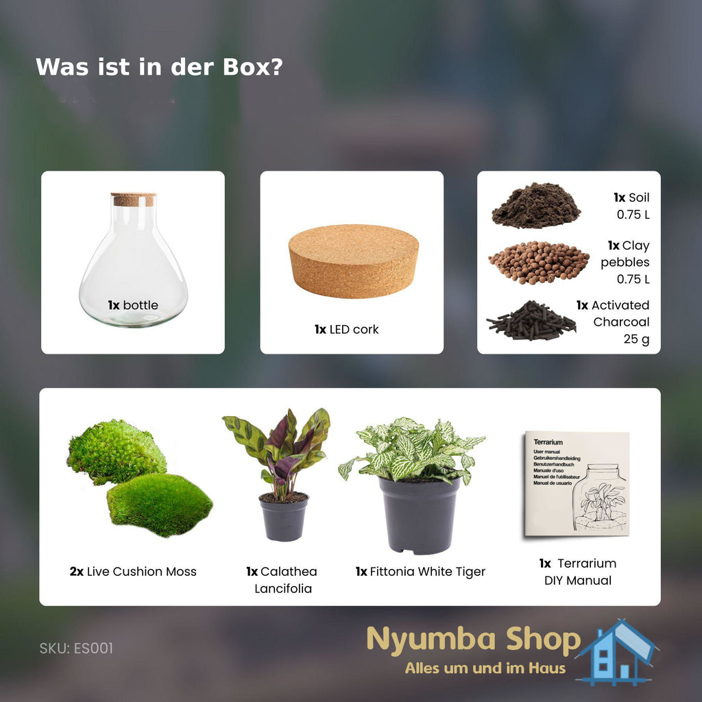 Flaschengarten – Sammie – ↕ 26 cm – Keine Werkzeuge erforderlich