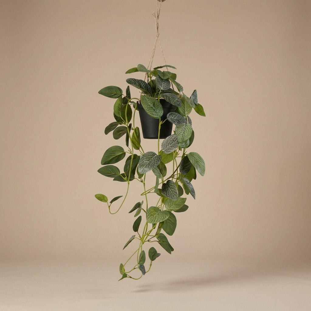 Fittonia – Hängepflanze im Topf – 70 cm – Kunstpflanze
