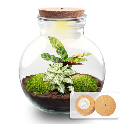 Flaschengarten – Teddy – ↕ 26,5 cm – Mit LED-Hals