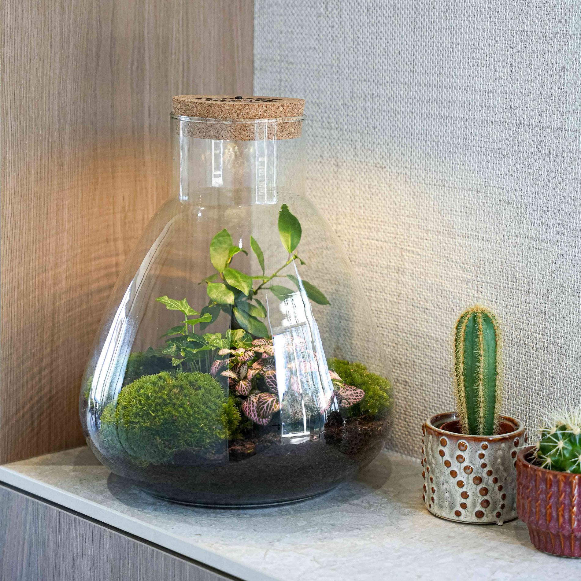 'LOVE MOM' Terrarium Sam + gravierter Kork mit Licht - Flaschengarten DIY Set - Ø 24.5 cm ↑ 30 cm - Muttertag