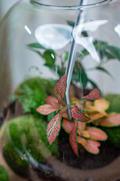 Terrarienpinzette Metall 26 cm lang