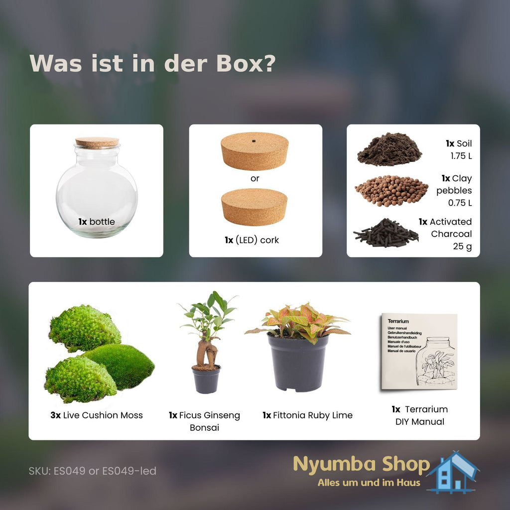 Flaschengarten – Teddy-Bonsai – ↕ 26,5 cm – Mit LED-Korken