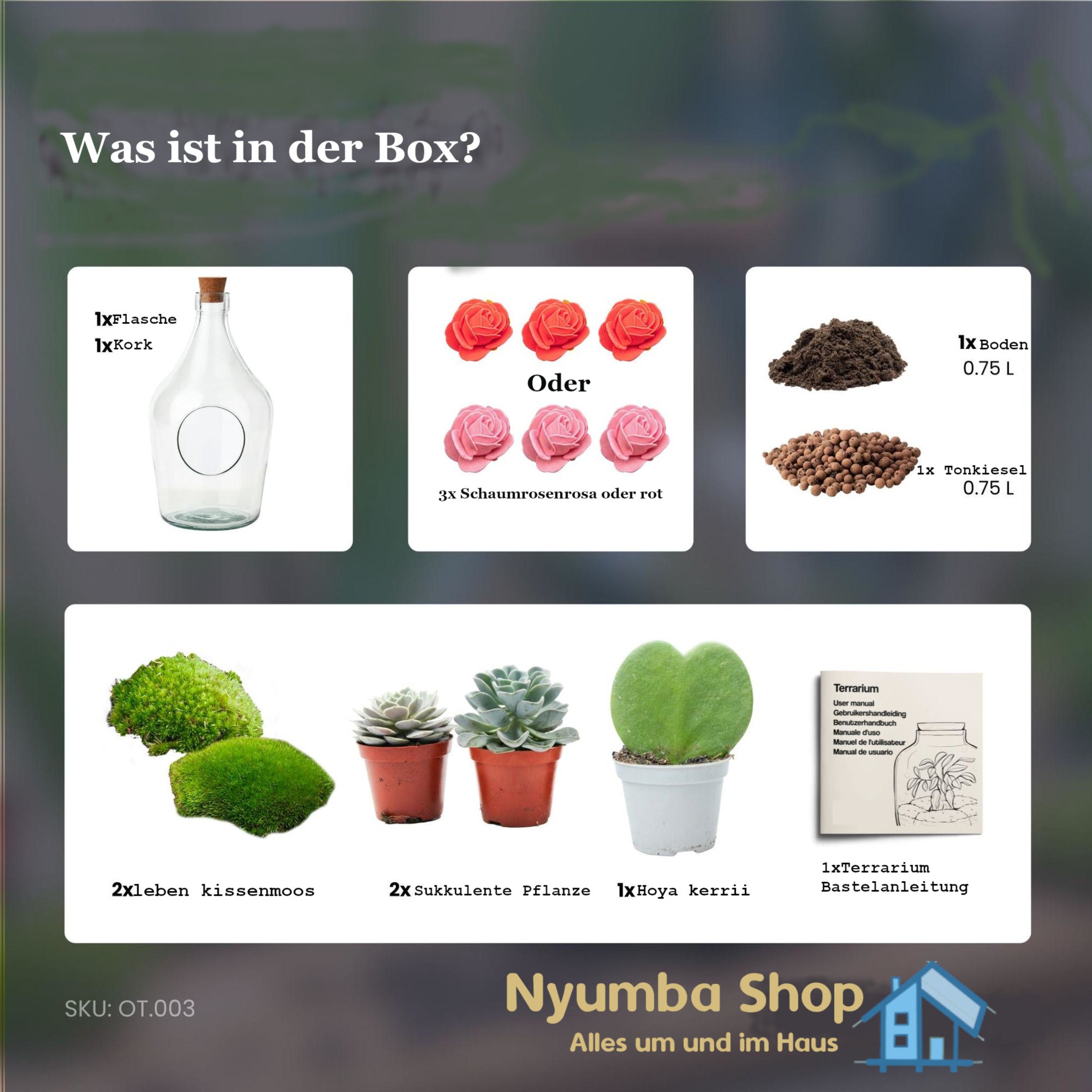 Love in a Bottle – DIY Offenes Pflanzenterrarium – Ø 16 cm ↑ 30 cm