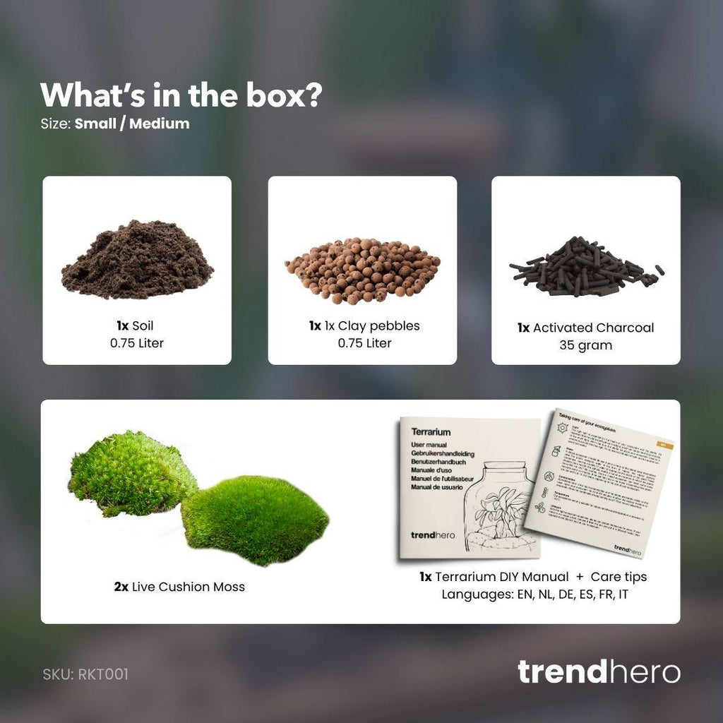 Pflanzenterrarium – Nachfüllset – Starterset – DIY – Größe S/M