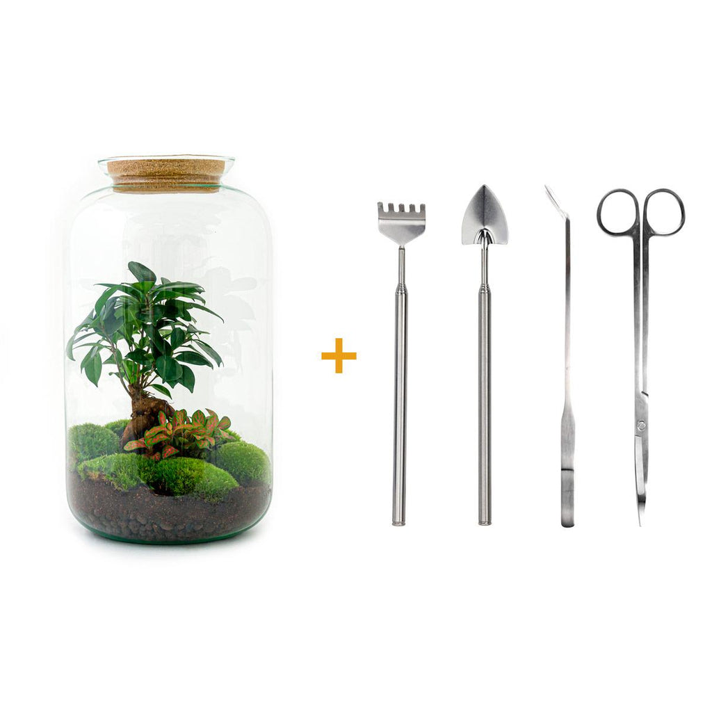 Flaschengarten - Sven Bonsai - ↕ 43 cm - Rechen + Schaufel + Pinzette + Schere