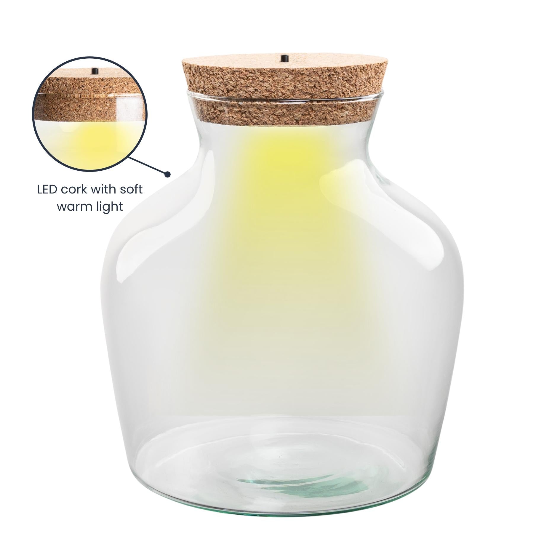 Terrarienflasche mit LED-Beleuchtung – Geschlossenes Terrarium – Little Joe – ↑ 22 cm – Ø 20 cm