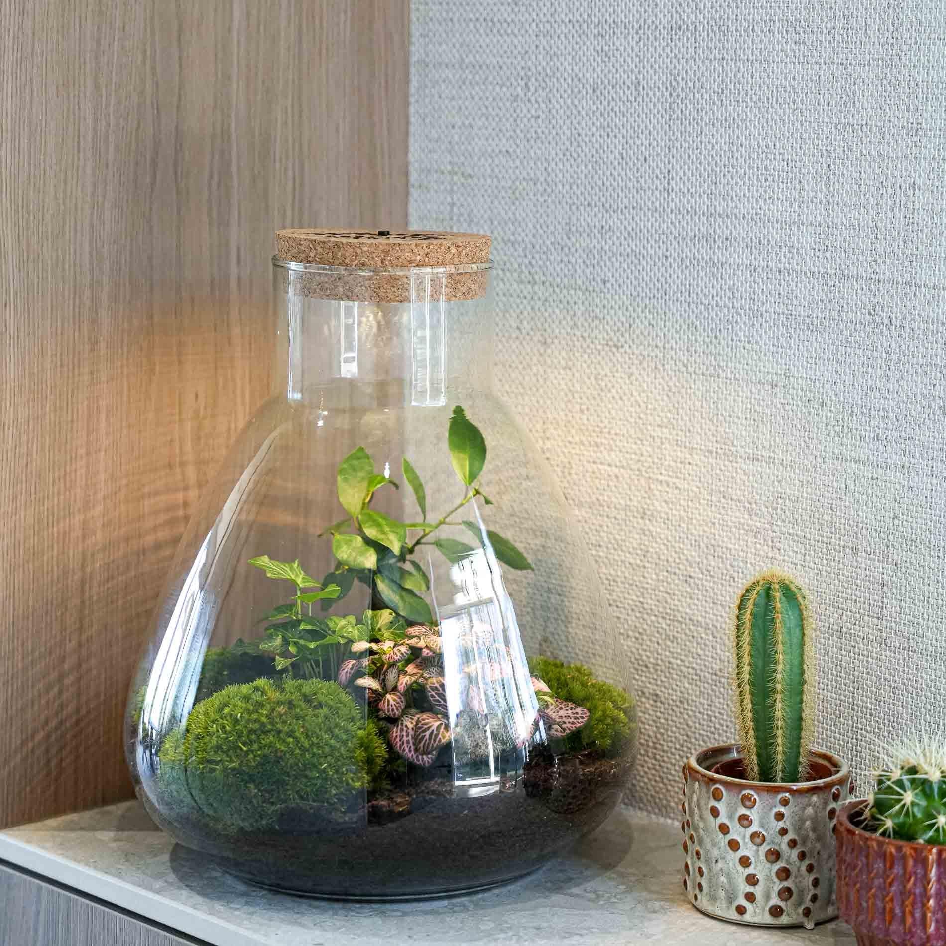 'LOVE MOM' Terrarium Sam + gravierter Kork mit Licht - Flaschengarten DIY Set - Ø 24.5 cm ↑ 30 cm - Muttertag