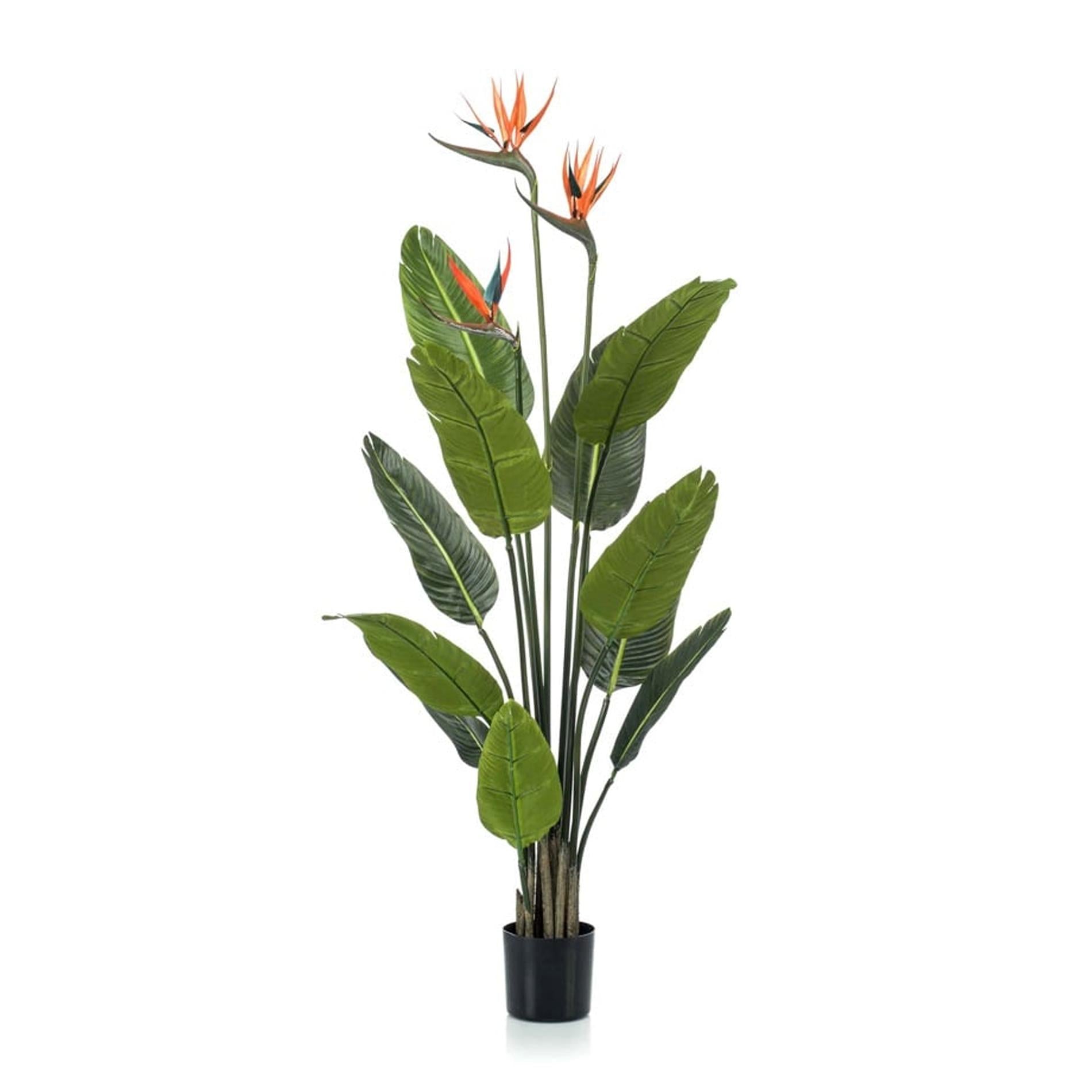 Strelitzia mit Blüten – 120 cm – In schwarzem Topf – Kunstpflanze