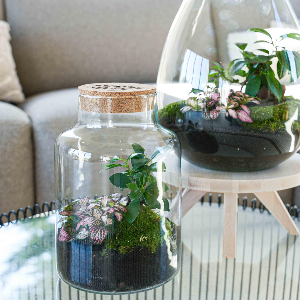 'LOVE MOM' Terrarium Little Milky + gravierter Kork mit Licht - Flaschengarten DIY Set - Ø 17 cm ↑ 25 cm - Muttertag