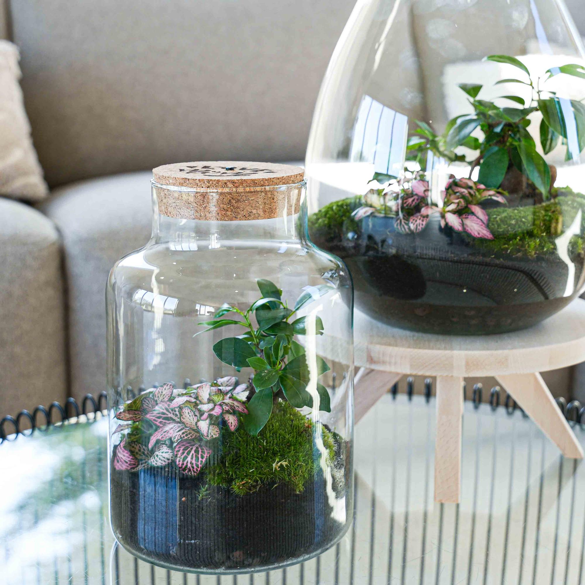 'LOVE MOM' Terrarium Little Milky + gravierter Kork mit Licht - Flaschengarten DIY Set - Ø 17 cm ↑ 25 cm - Muttertag