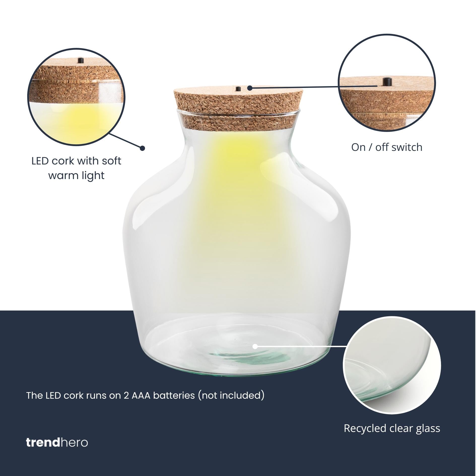 Terrarienflasche mit LED-Beleuchtung – Geschlossenes Terrarium – Little Joe – ↑ 22 cm – Ø 20 cm