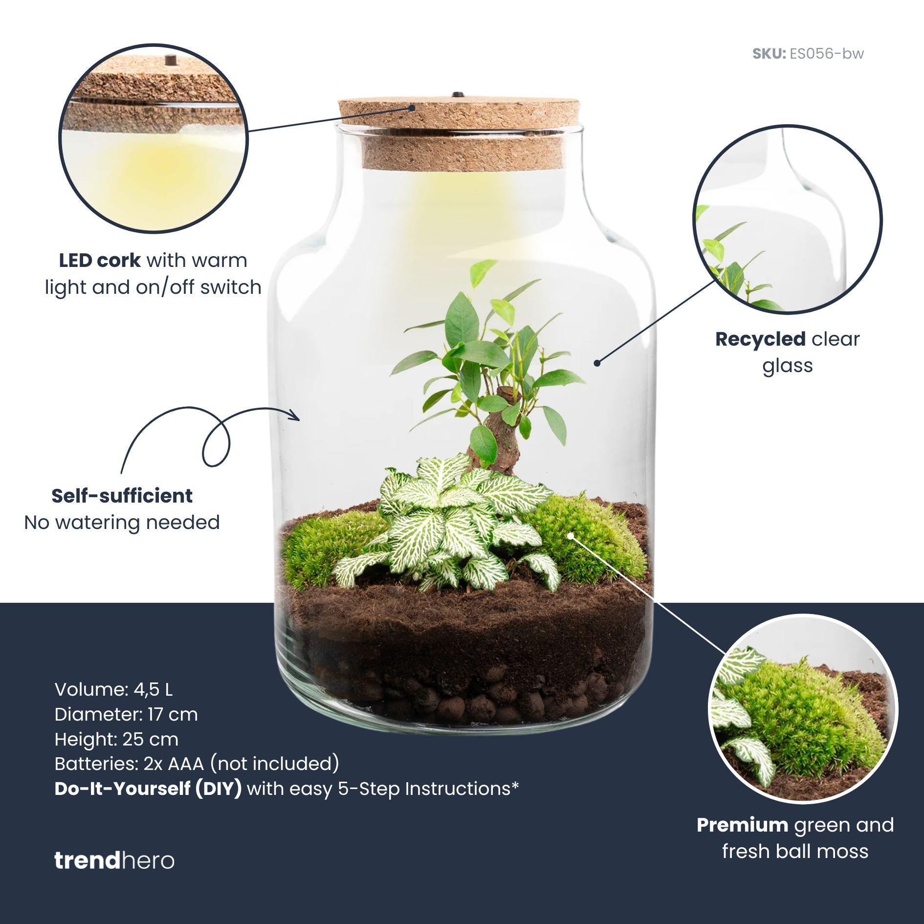 DIY-Pflanzenterrarium mit Licht – Little Milky Bonsai – Ø 17 cm ↑ 25 cm