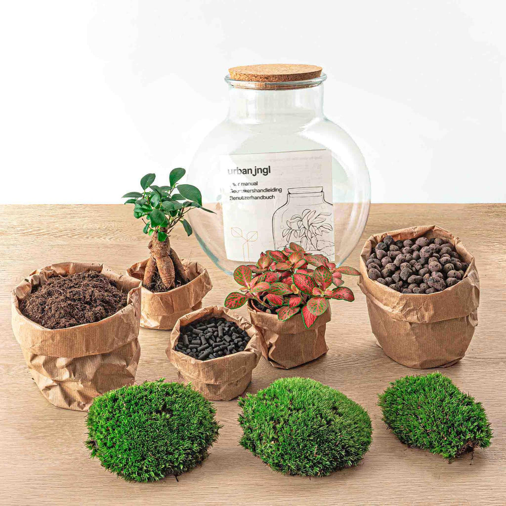Flaschengarten - Teddy bonsai - ↕ 26,5 cm - Rechen + Schaufel + Pinzette + Schere