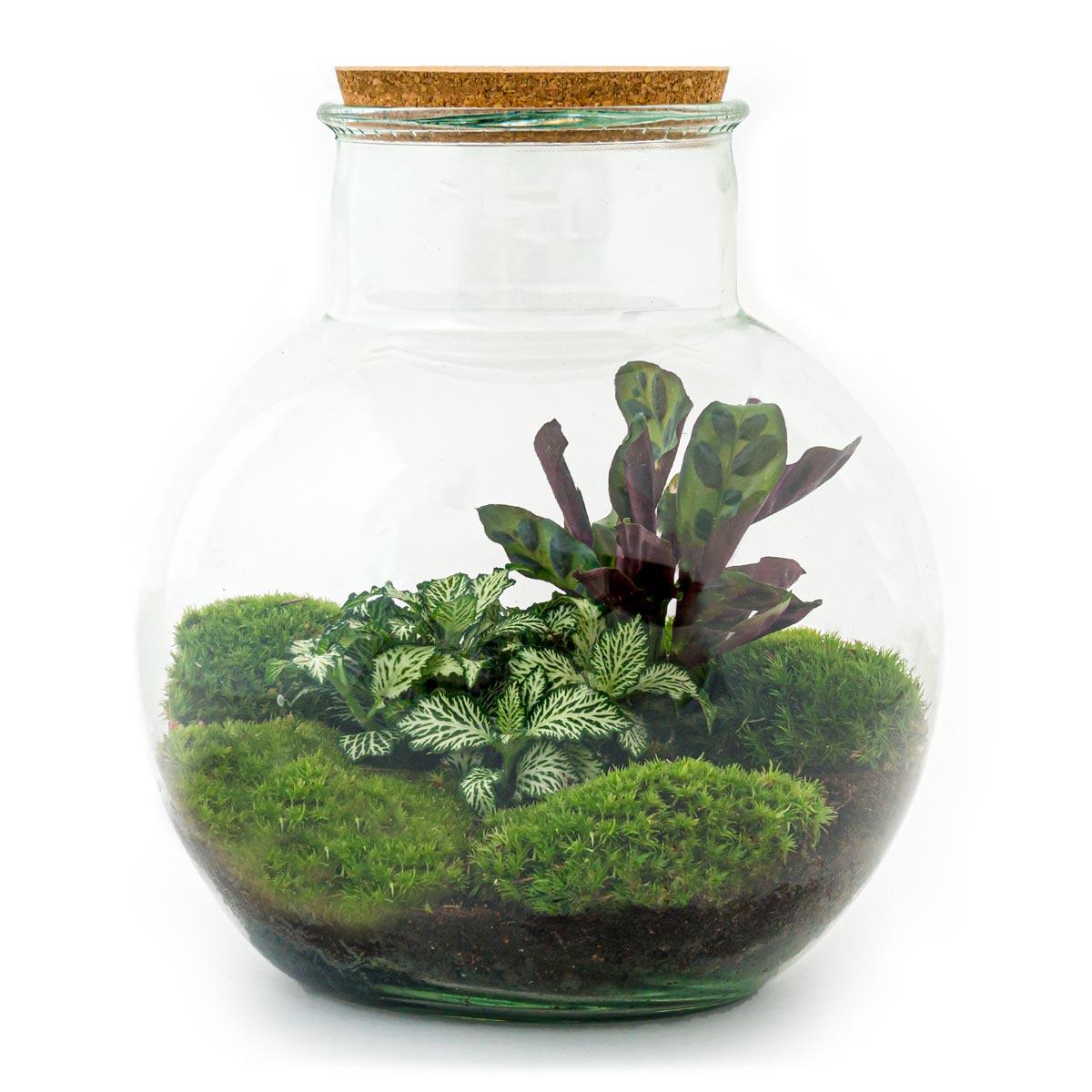 Flaschengarten - Teddy - ↕ 26,5 cm Rechen + Schaufel + Pinzette