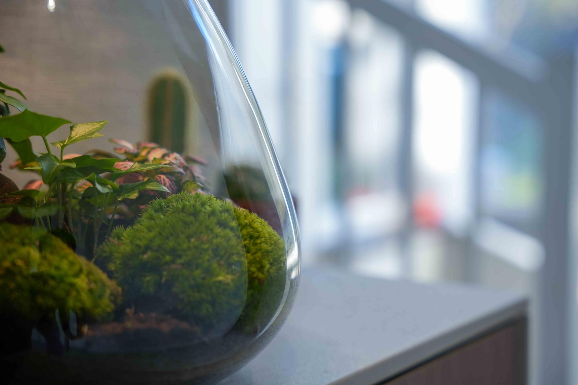 'LOVE MOM' Terrarium Sam + gravierter Kork mit Licht - Flaschengarten DIY Set - Ø 24.5 cm ↑ 30 cm - Muttertag