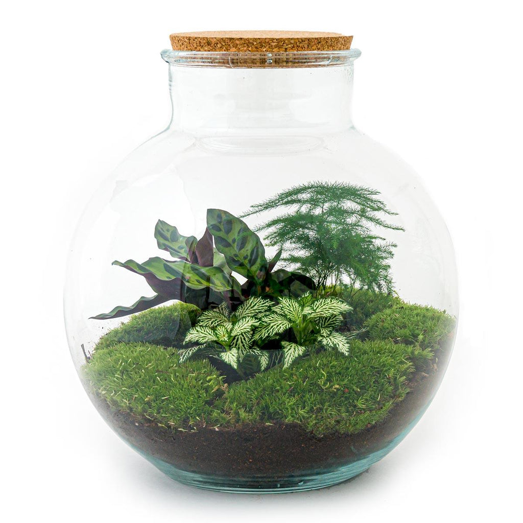 Flaschengarten - Bolder Bob - ↕ 30 cm - Rechen + Schaufel + Pinzette