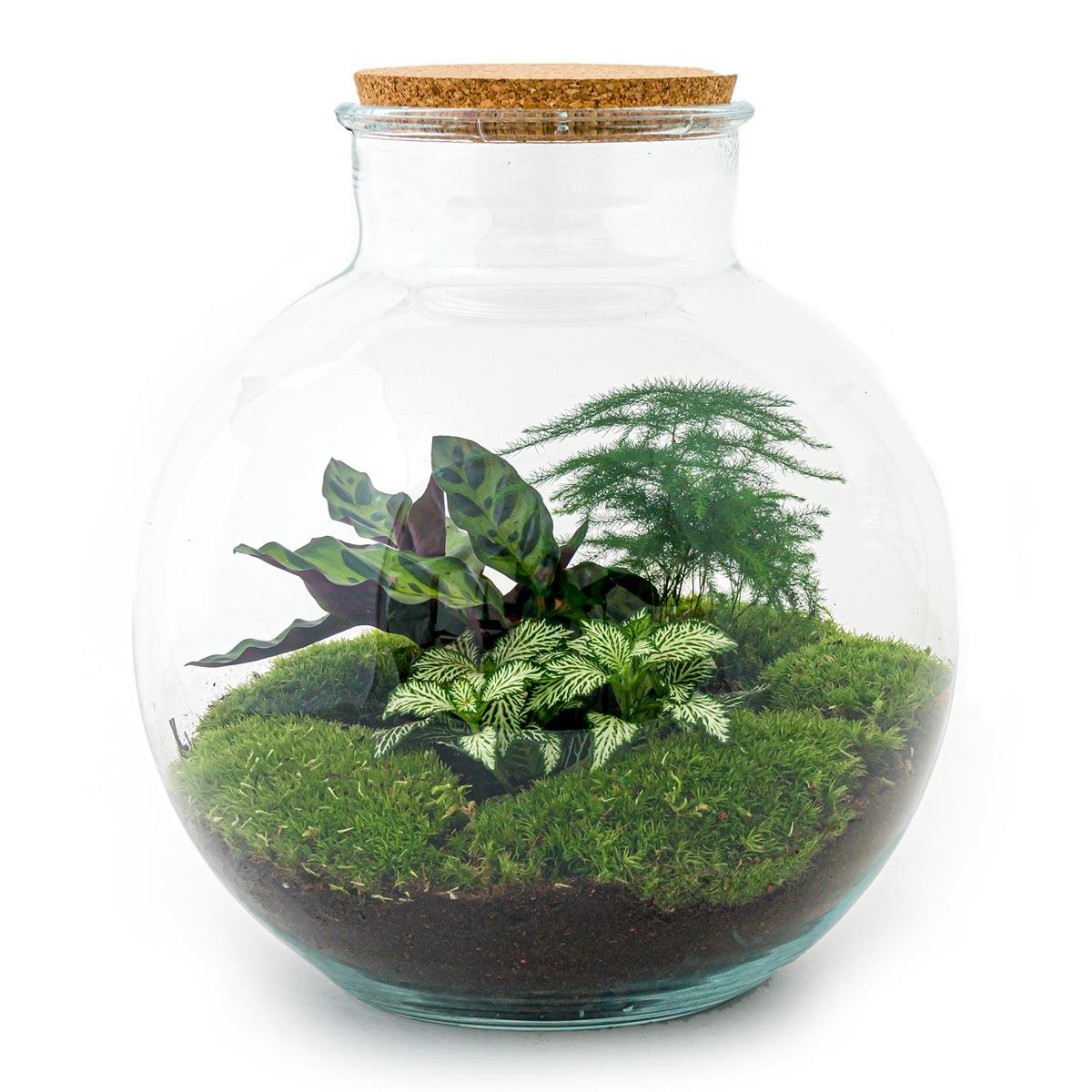 Flaschengarten - Bolder Bob - ↕ 30 cm - Rechen + Schaufel + Pinzette