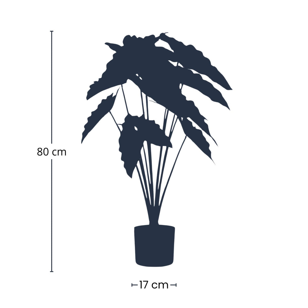 Alocasia 80 cm – Kunstpflanze