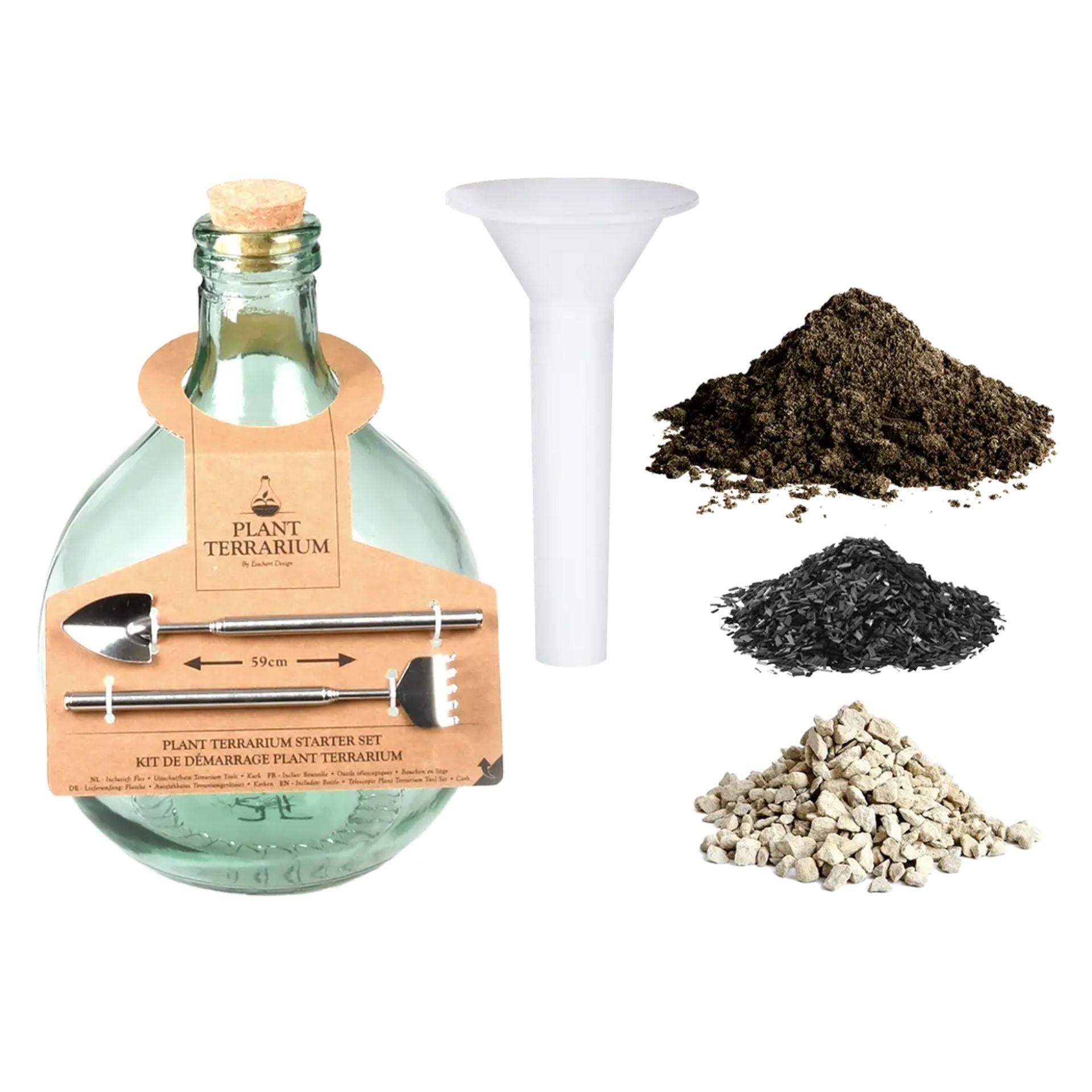 DIY-Pflanzterrarium-Set 5 l – Erstellen Sie Ihr eigenes geschlossenes Ökosystem | In Geschenkbox