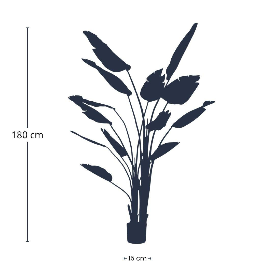 Strelitzia nicolai – 180 cm – In schwarzem Topf – Künstliche Pflanze