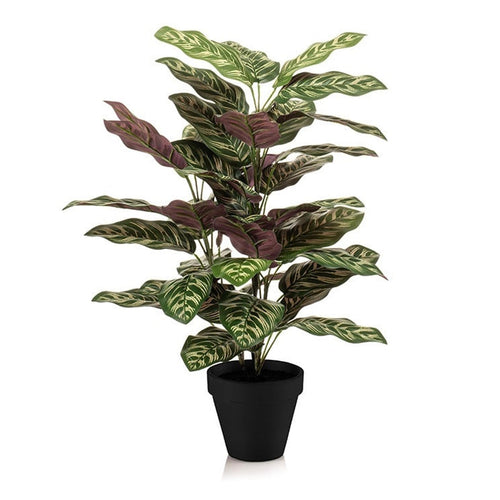 Calathea im Topf – 65 cm hoch – Kunstpflanze