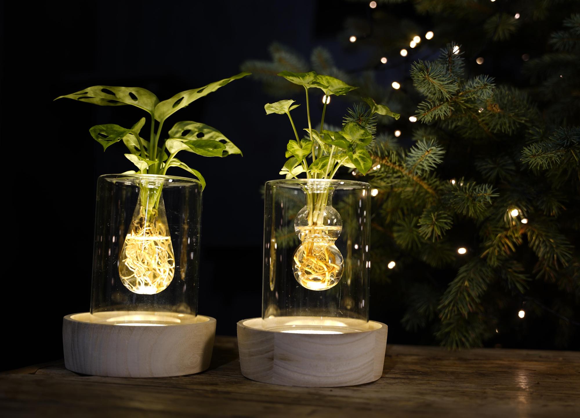 Christmas | Mix In Sydney Glas + LED - 1 Stück - Ø7cm - ↕20cm