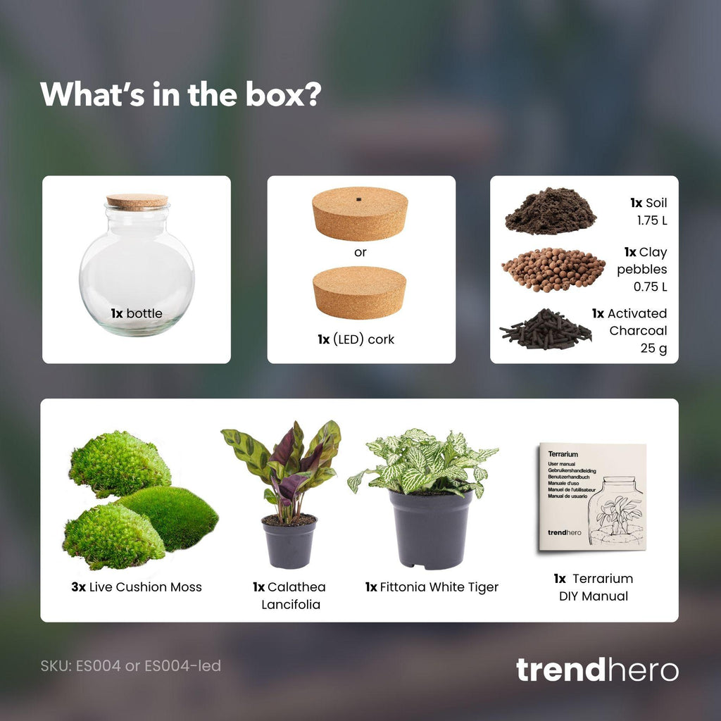 Flaschengarten – Teddy – ↕ 26,5 cm – Mit LED-Hals