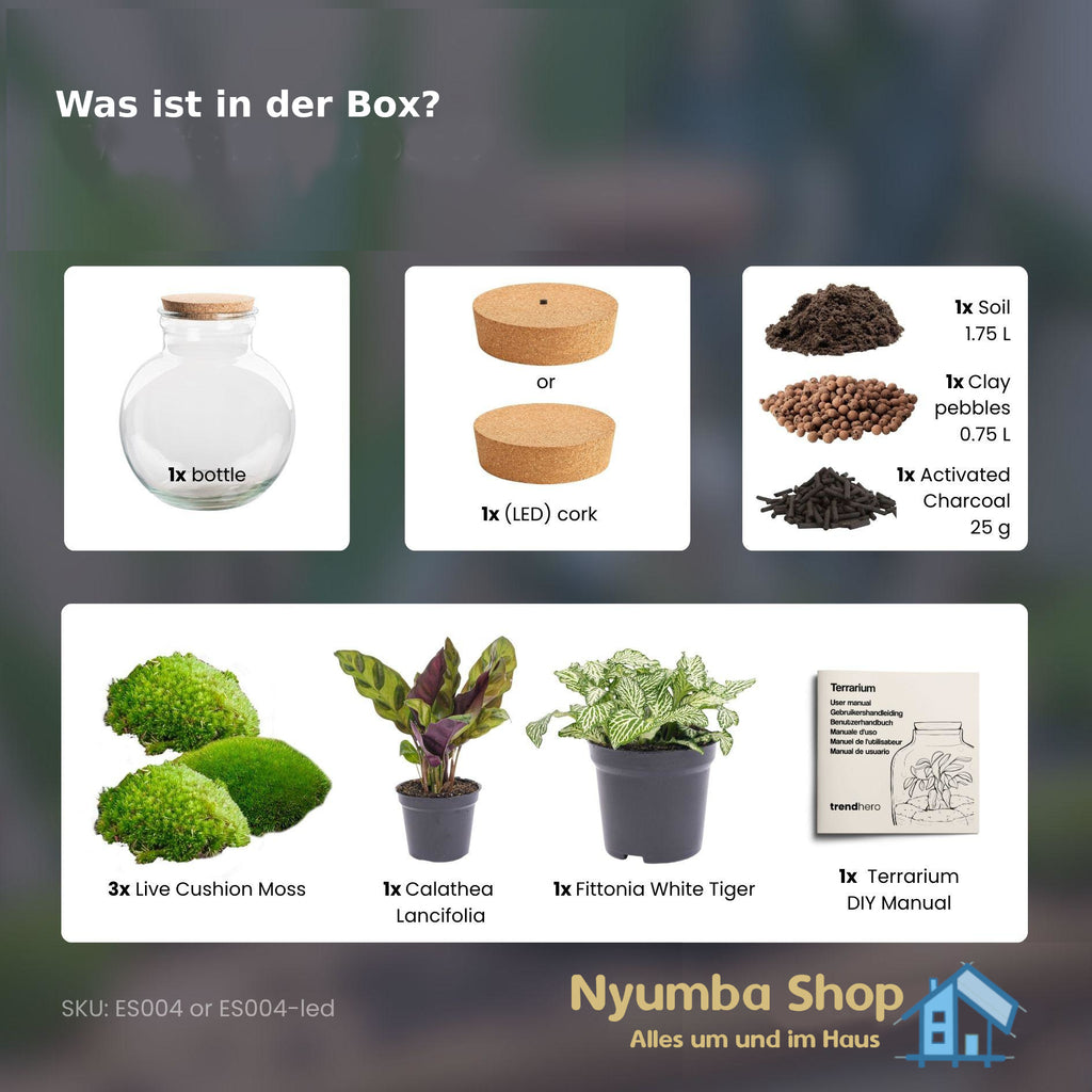 Flaschengarten – Teddy – ↕ 26,5 cm – Mit LED-Hals