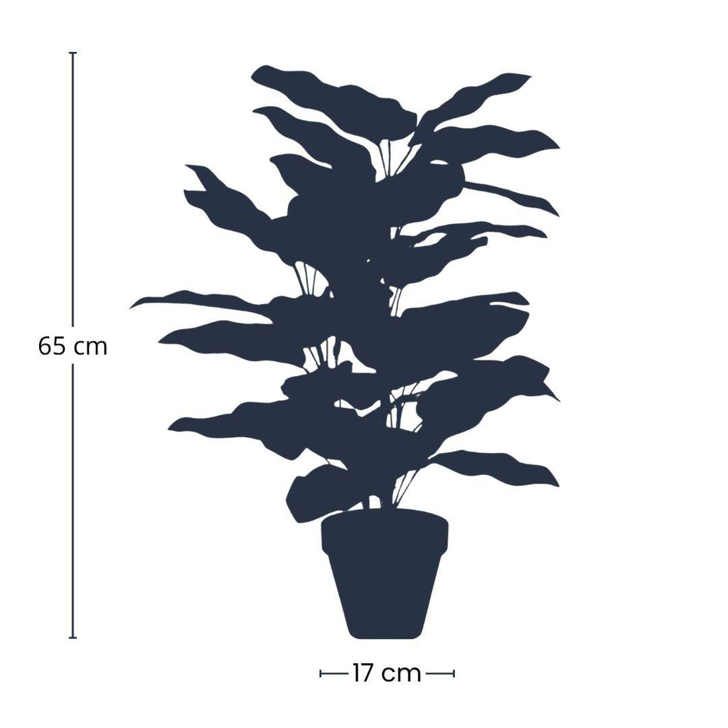 Calathea in pot - 65 cm hoog - Kunstplant