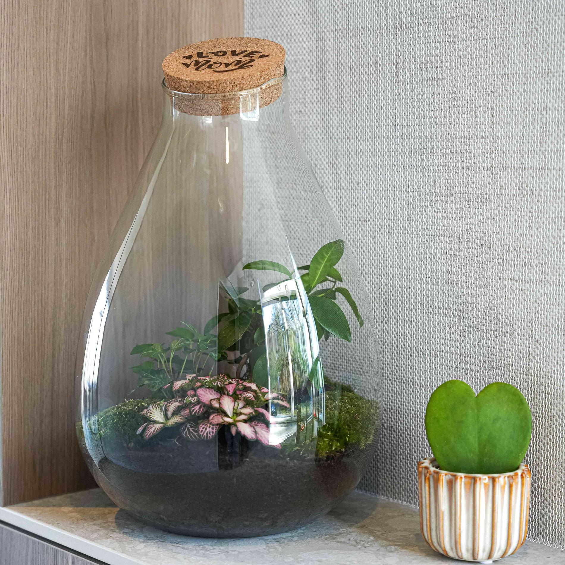 'LOVE MOM' Terrarium Drop XL + gravierter Kork - Flaschengarten DIY Set – Ø 24 cm ↑ 37 cm -  Muttertag
