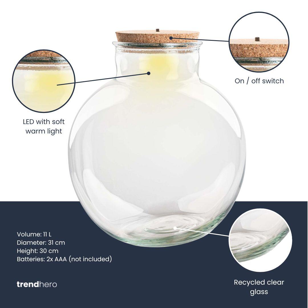 Terrarienflasche mit (LED-)Korken – Bolder Bob – Ø 30 cm, Höhe 31 cm – Mit LED-Korken