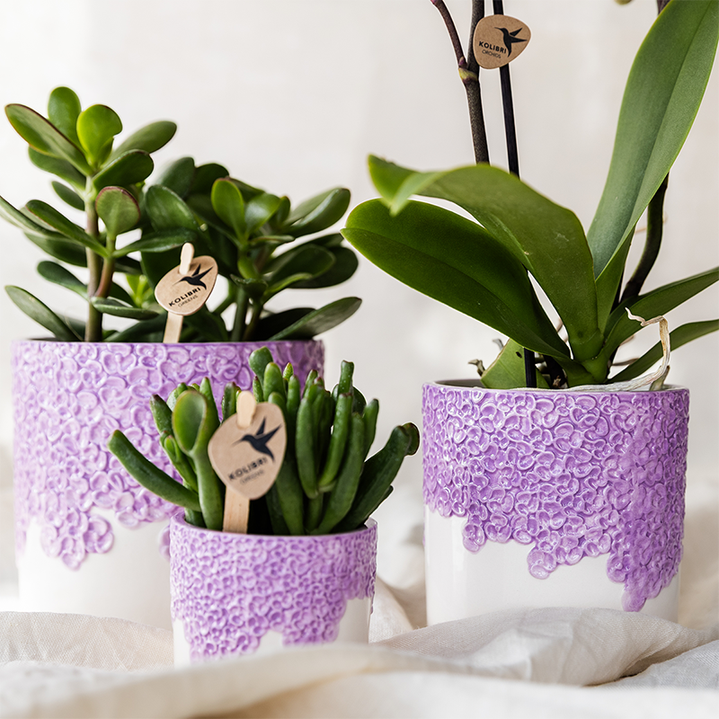 Blumen-Vase – Lila – Ø 12 cm