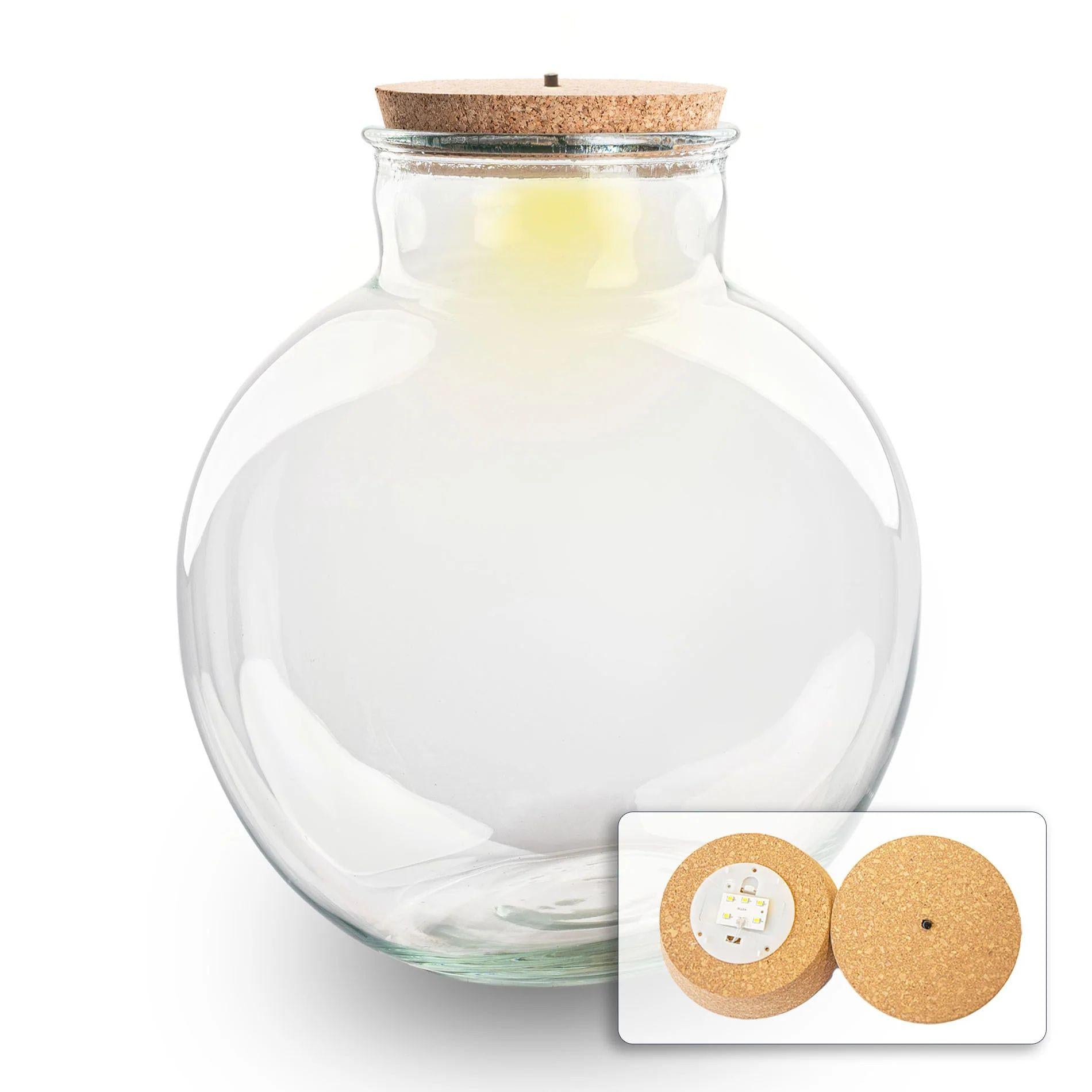 Terrarienflasche mit (LED-)Korken – Bolder Bob – Ø 30 cm, Höhe 31 cm – Mit LED-Korken