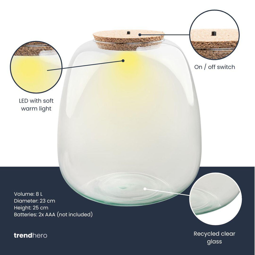 Terrarienflasche mit Beleuchtung – Emma – Ø 23 cm ↑ 25 cm