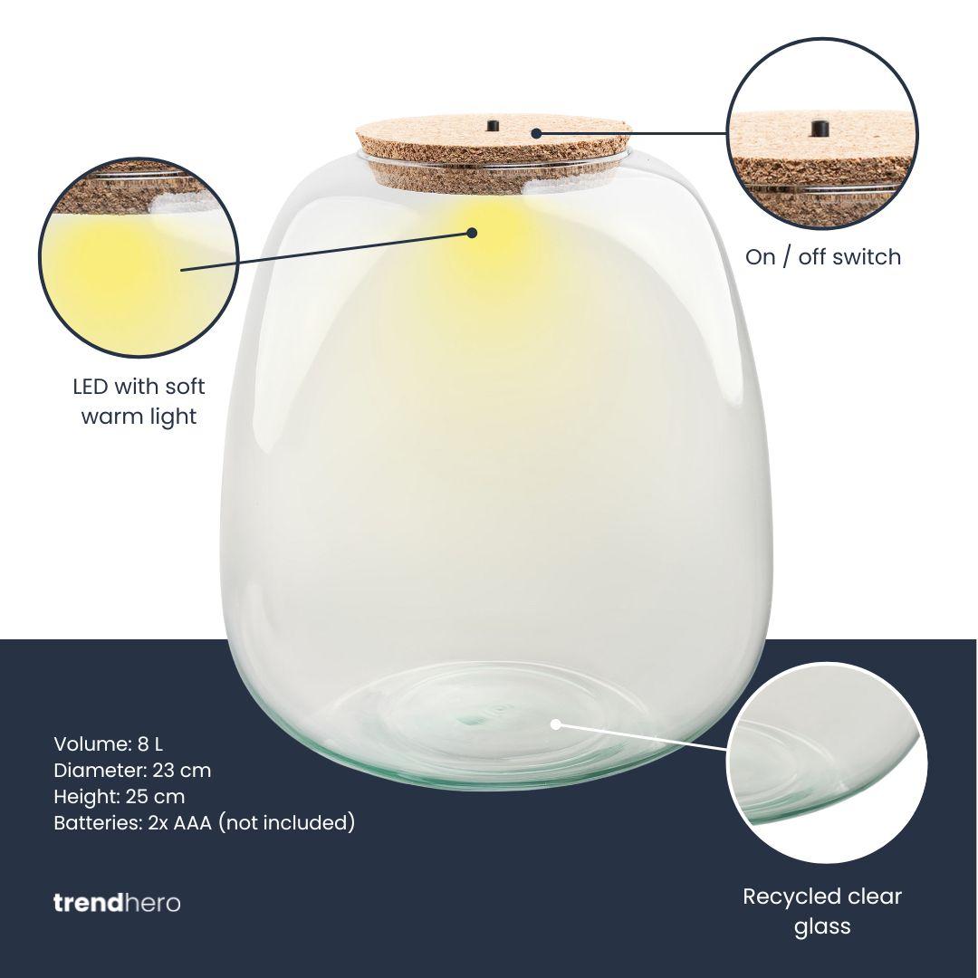 Terrarienflasche mit Beleuchtung – Emma – Ø 23 cm ↑ 25 cm