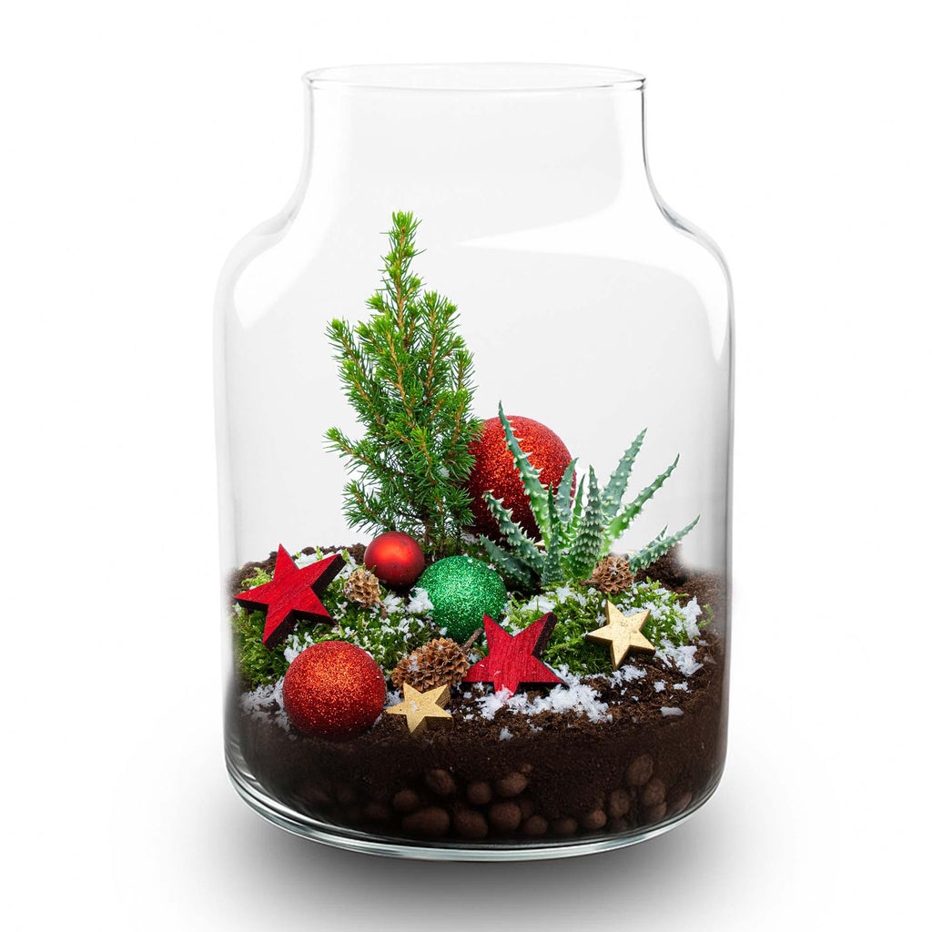 Frosty Christmas Terrarium – Pflanzen-Terrarium  DIY-Set Christmas –  –  Ø 17 cm ↑ 25 cm