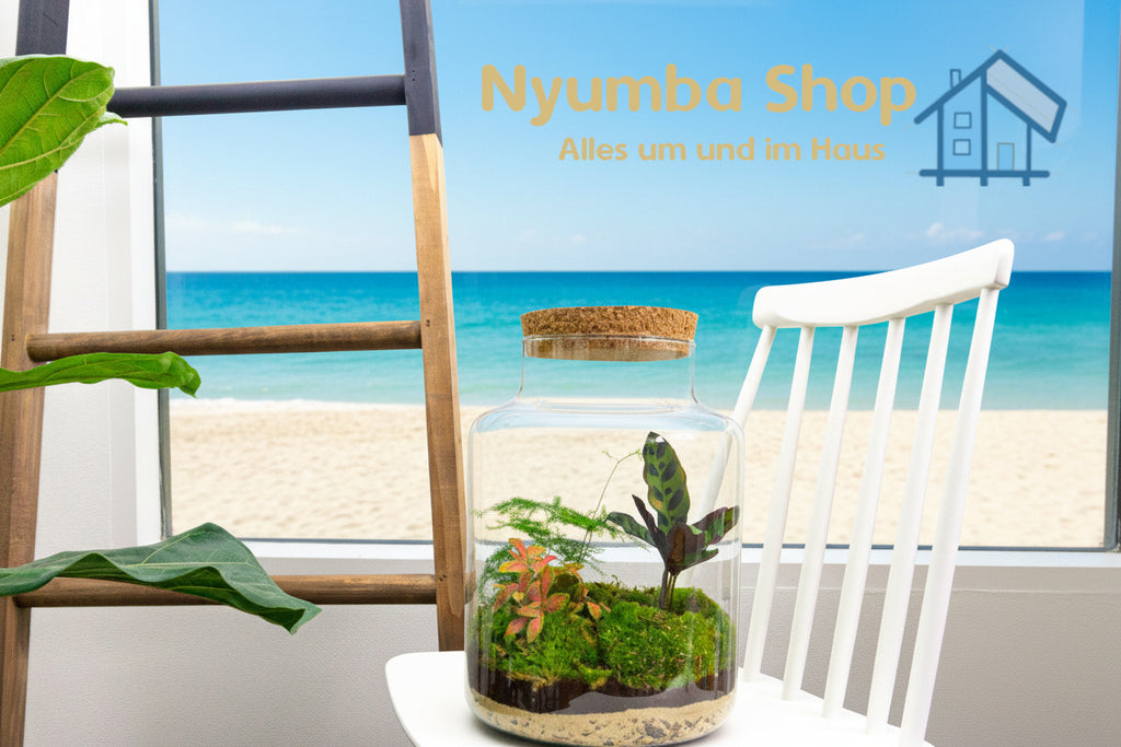 Flaschengarten - Milky - ↕ 30 cm - Keine Werkzeuge erforderlich